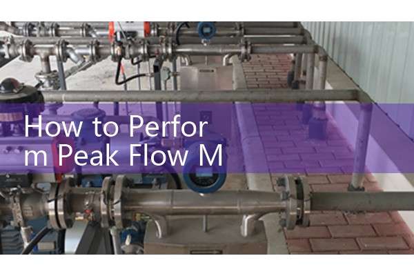 How to Perform Peak Flow Meter: Step-by-Step Testing Log and Three-Attempt Score Recording